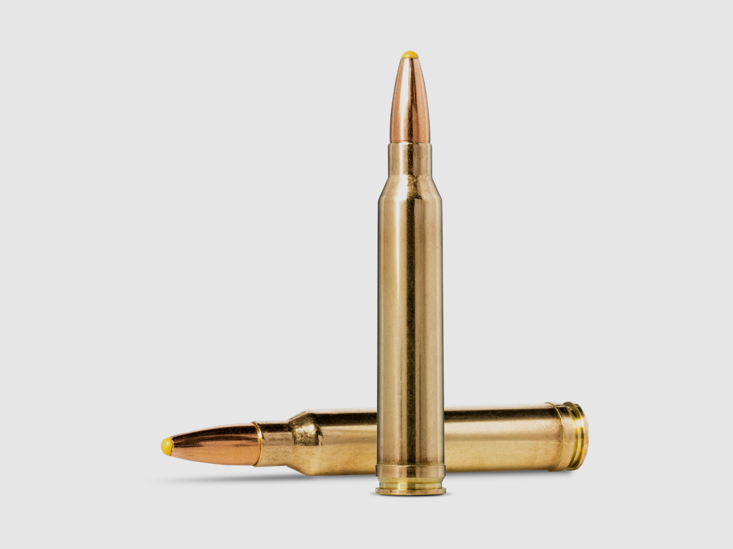 .300 Win Mag NORMA PLASTIC POINT 180gr