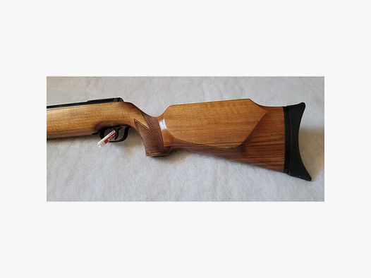 Walther lg 55