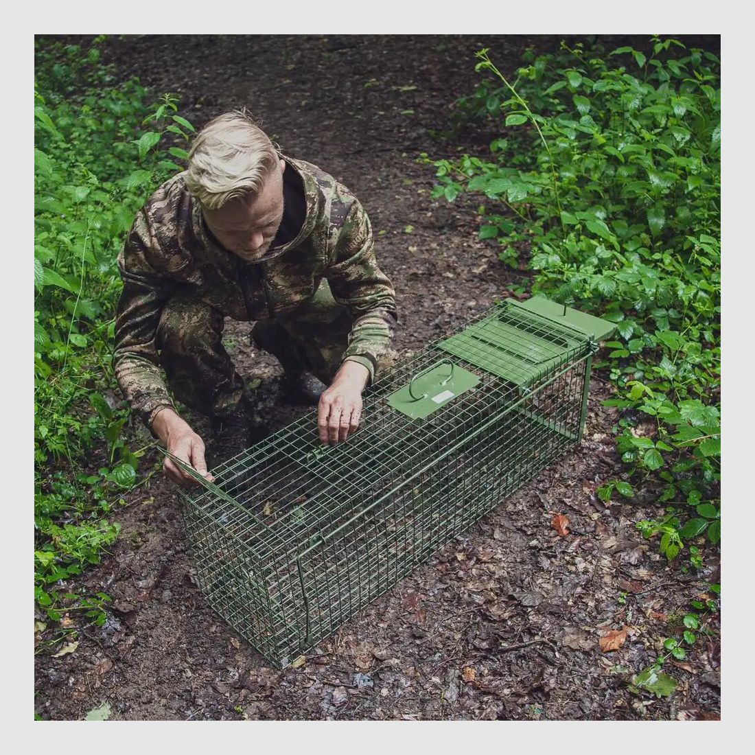 Frankonia piège à capture vivante – porte unique à battants