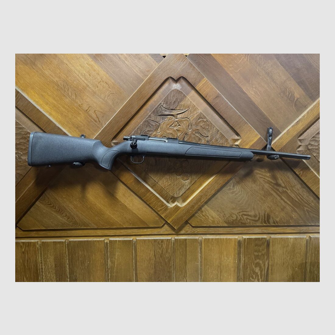 STEEL ACTION HS .308Win