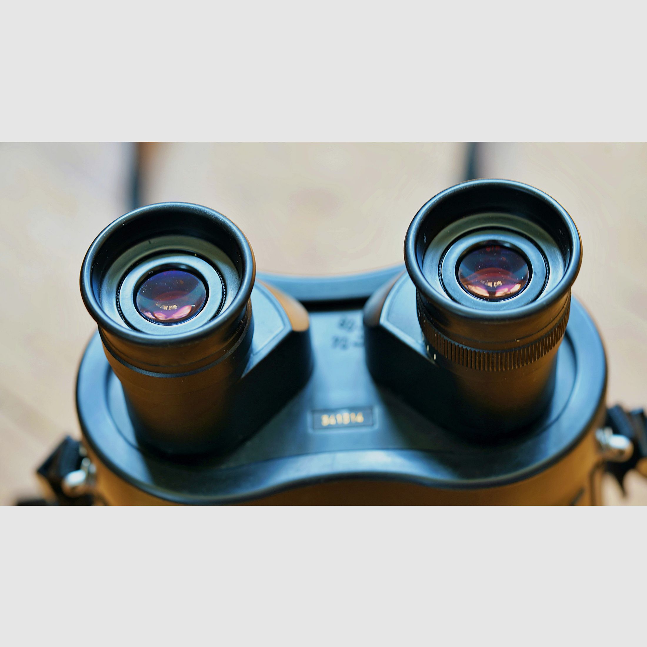 Zeiss 20 x 60 S