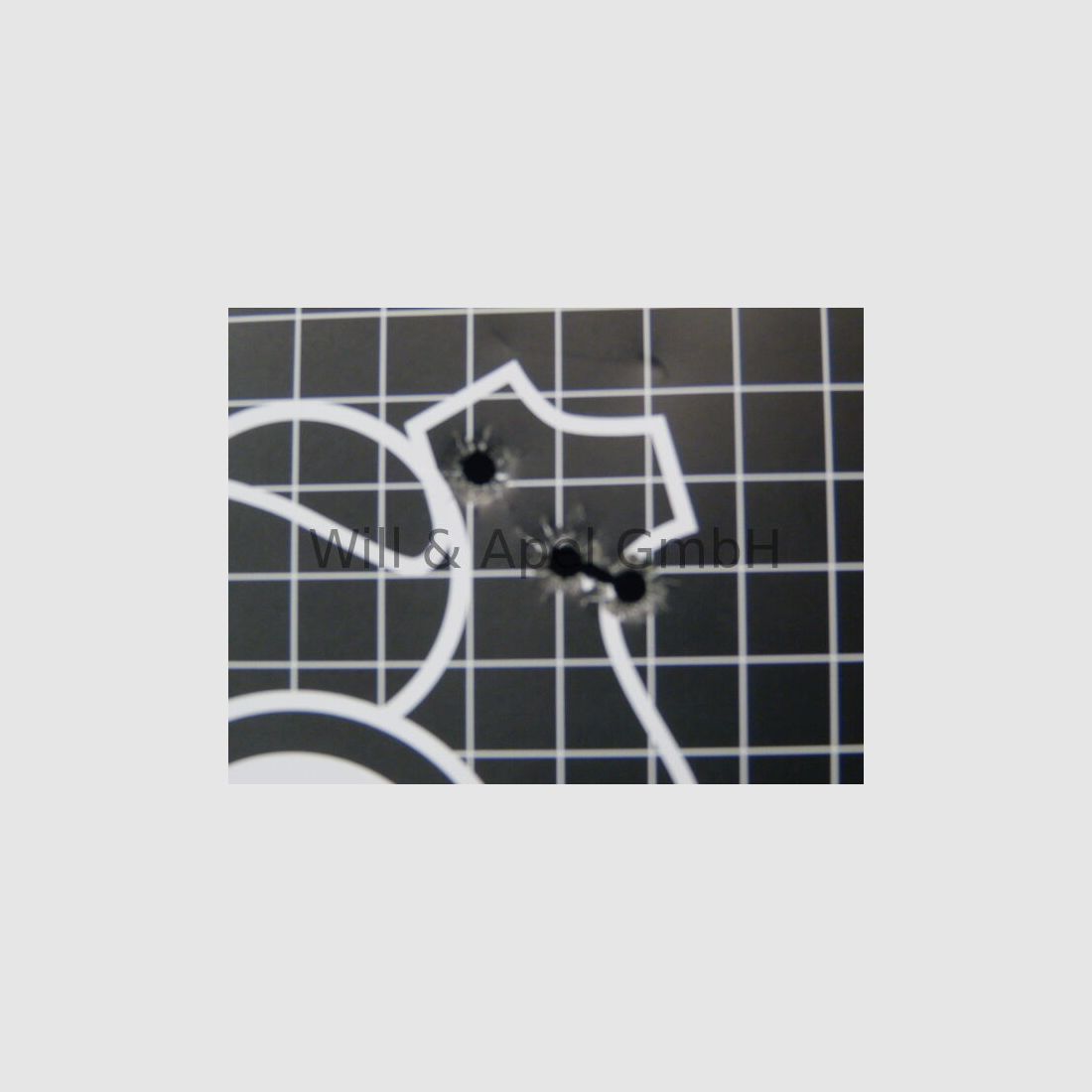 SAUER & SOHN 303 Synchro XT