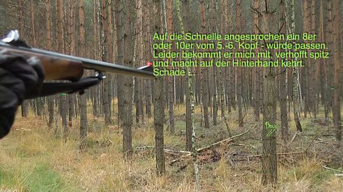 Drückjagdszenen 2016/17