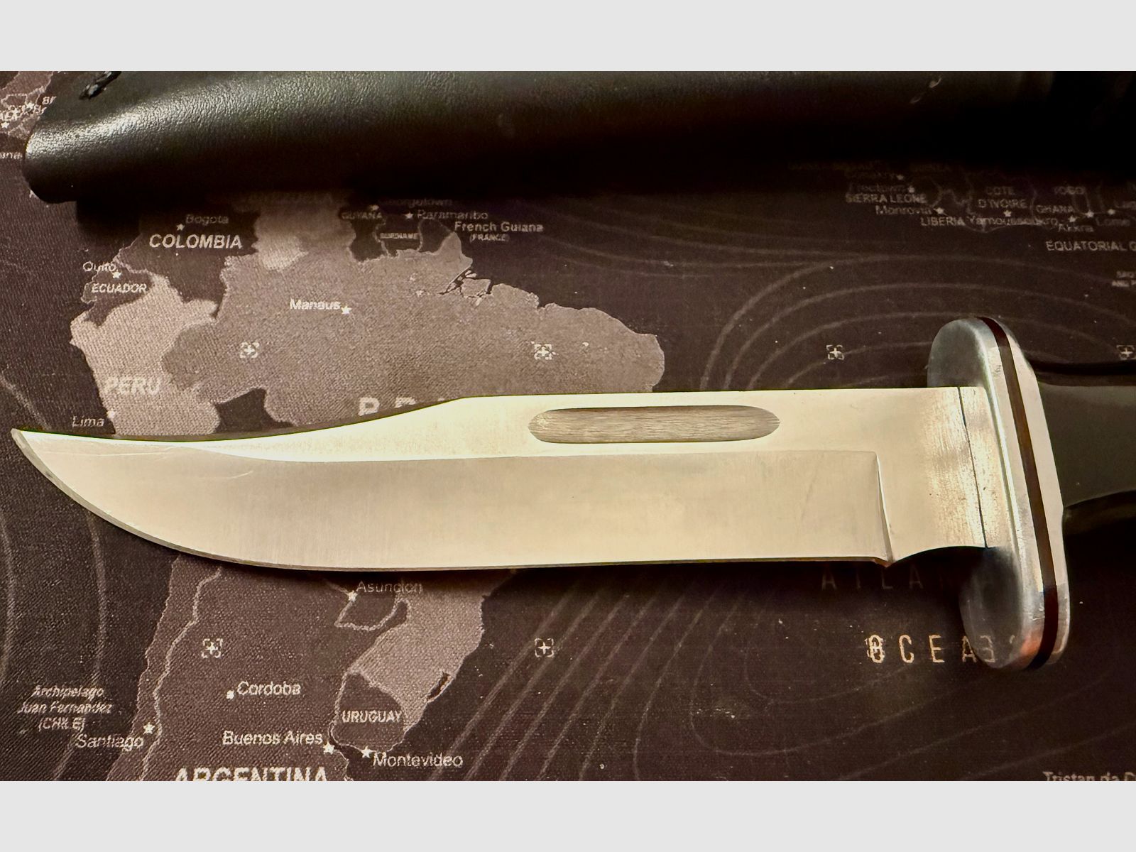 Buck 119 Bowie Messer Outdoor