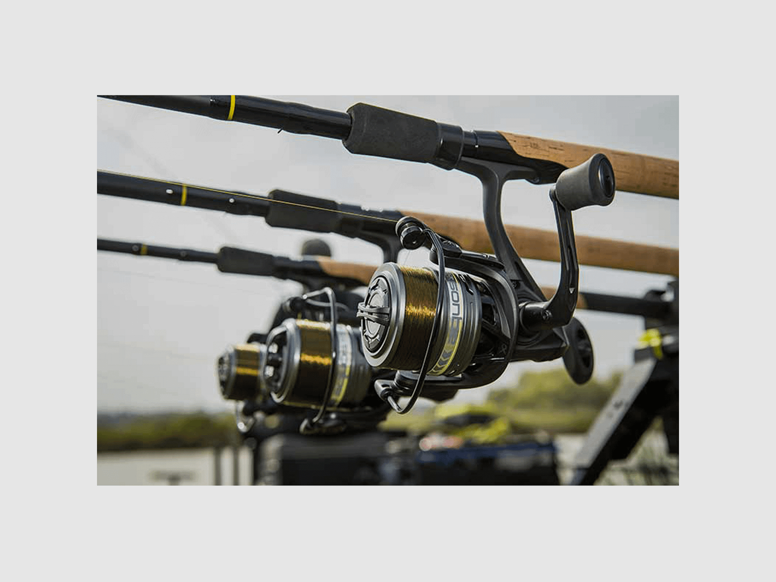 REEL – MATRIX – AQUOS ULTRA REEL, image 17 of 20