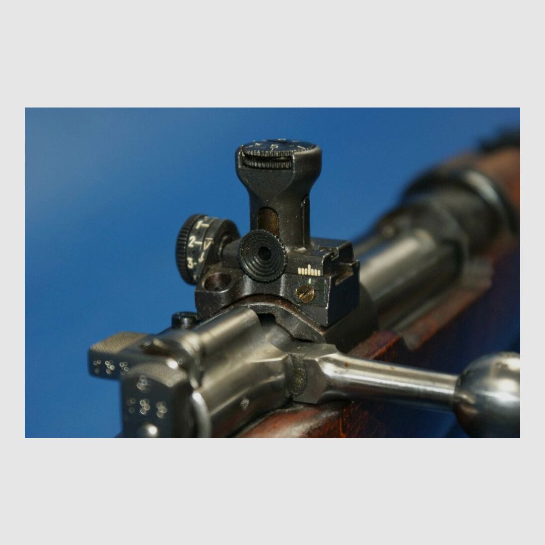 Carl Gustafs M96 mit Diopter 6,5x55SE