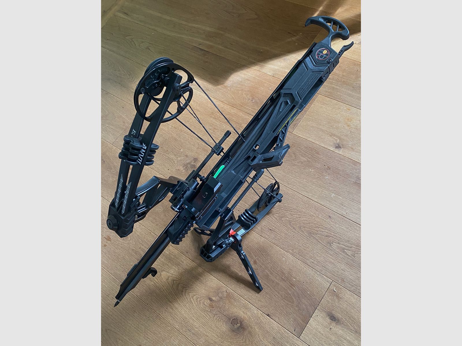 Whipshot