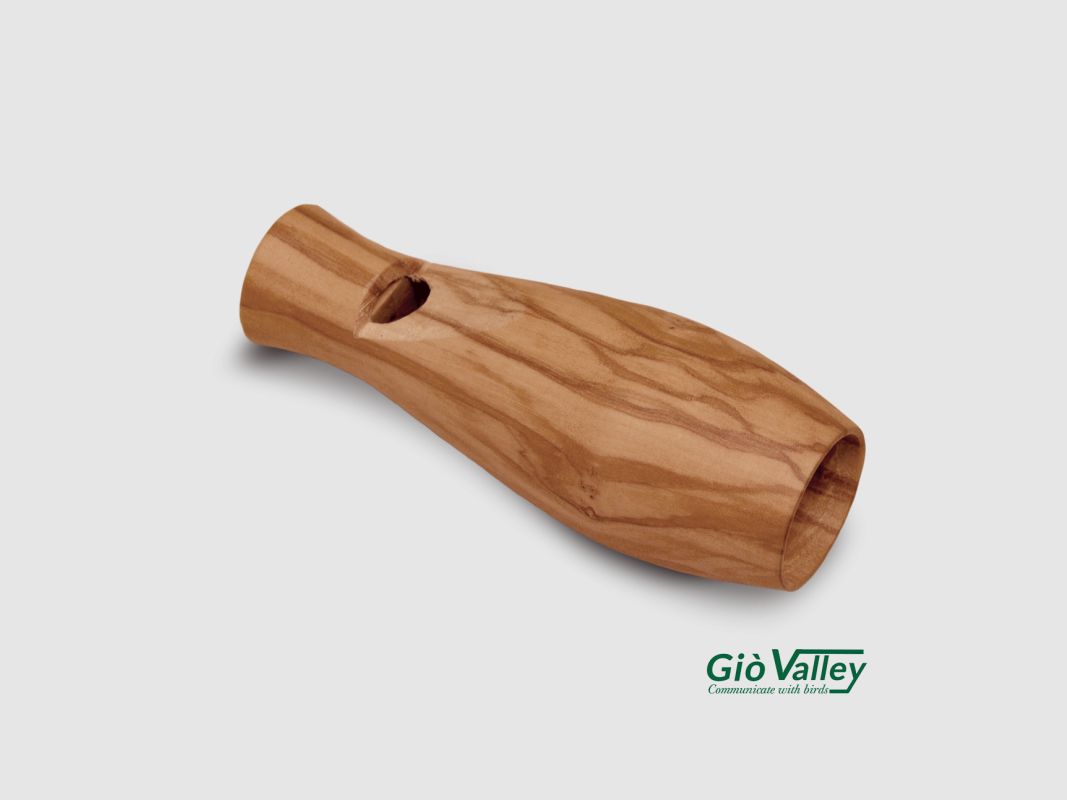 Appel pour cormoran mâle Giovalley, image 1 sur 3