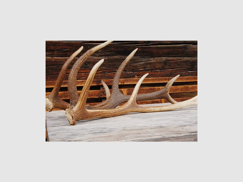 Serviceprestatie montage van een externe richtkijker