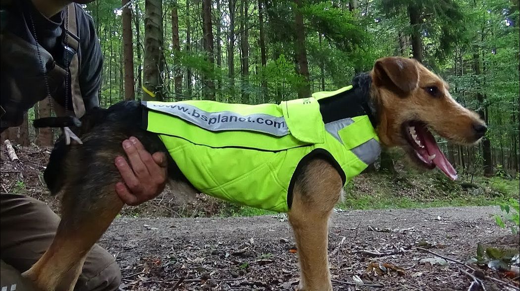 SCHUTZAUSRÜSTUNG FÜR JAGDHUNDE BS-PLANET