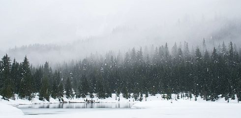 Die Ausrüstung für die Jagd im Winter