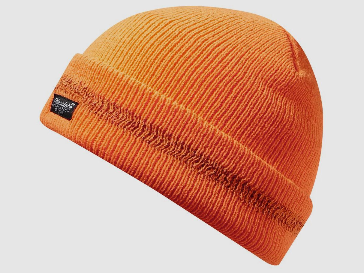 Thinsulate knitted hat