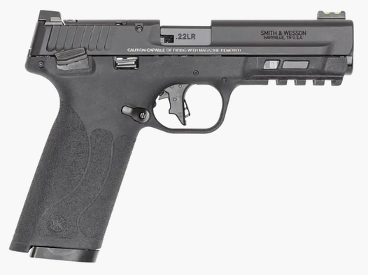 Smith & Wesson 22X cal. 22LR