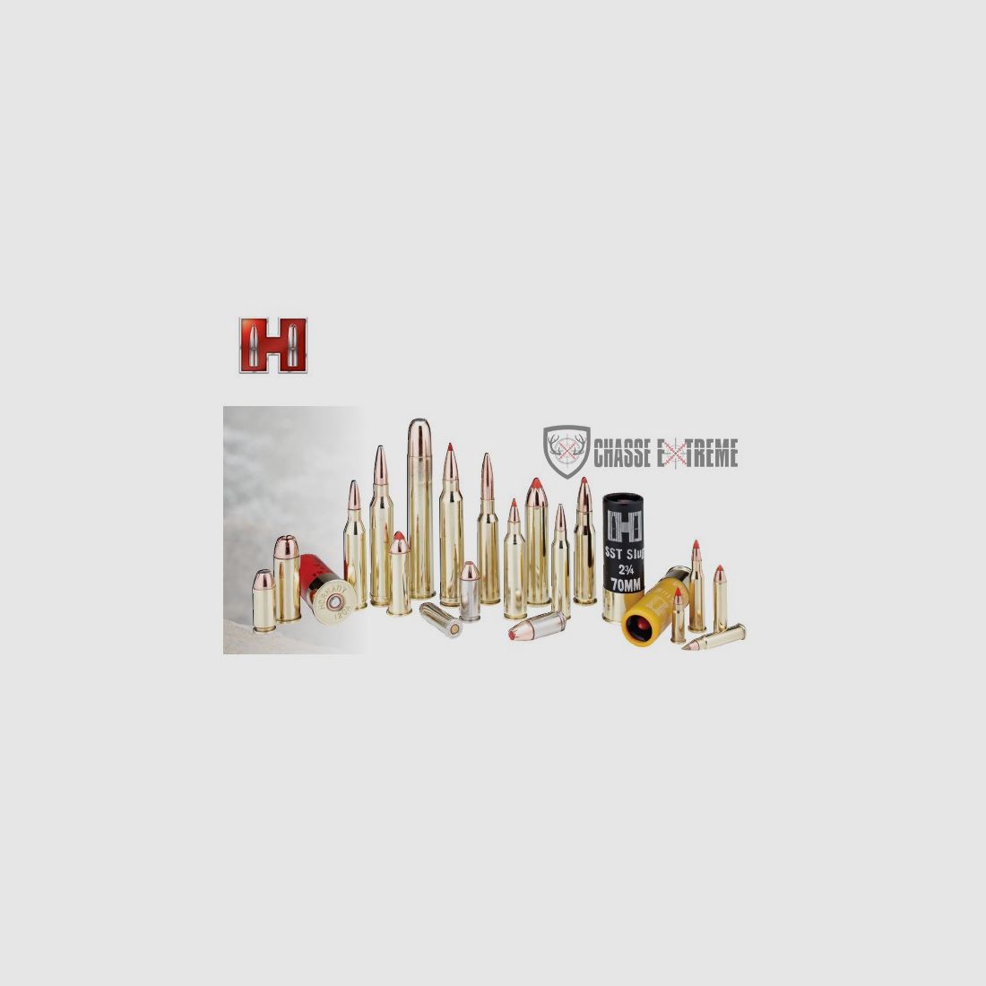 20 Patronen HORNADY Critical Defense 40 S&W 165 Gr Ftx, Bild 2 von 2