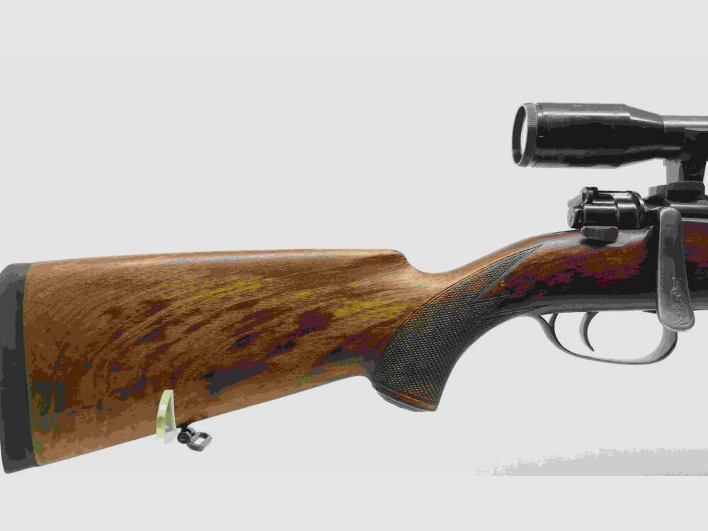 Honold Ulm avec Zeiss Diastal 8x52