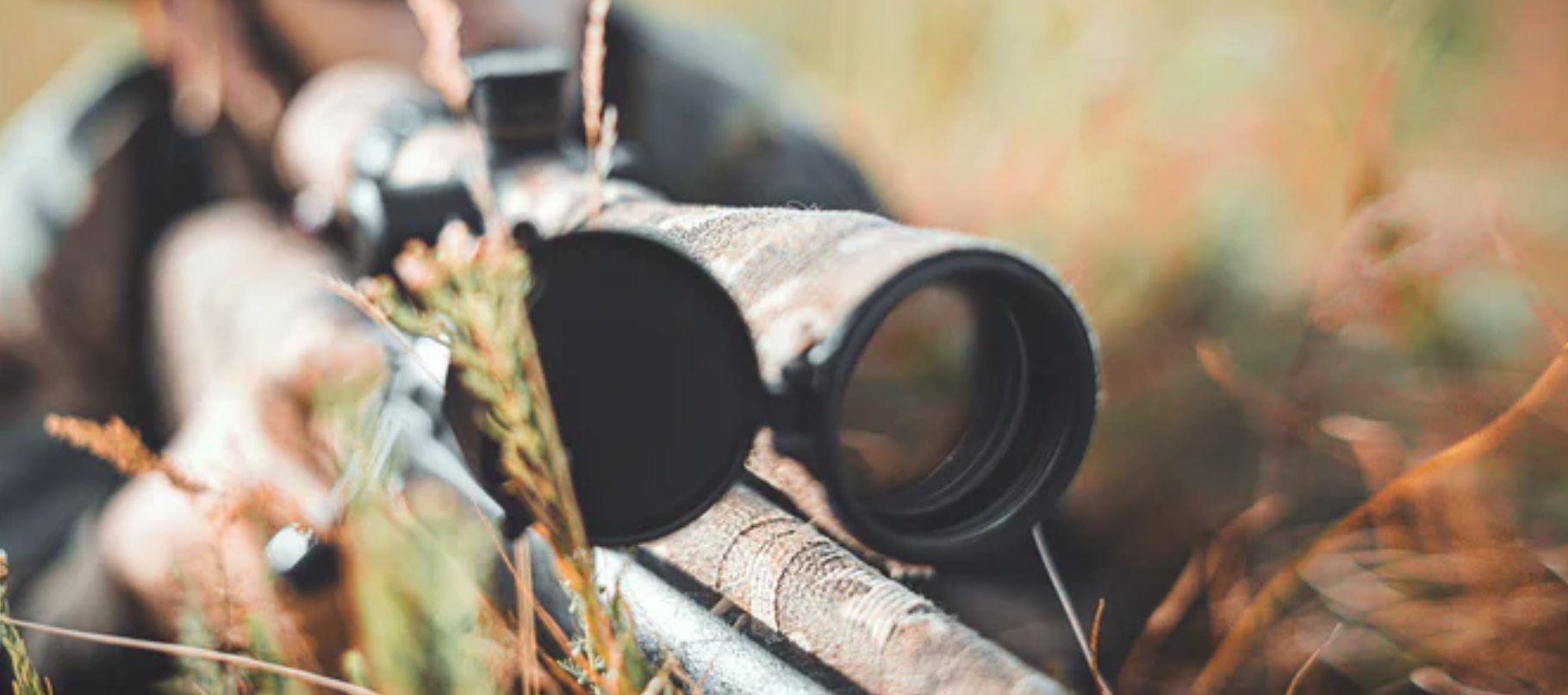 Das richtige Zielfernrohr für die Jagd