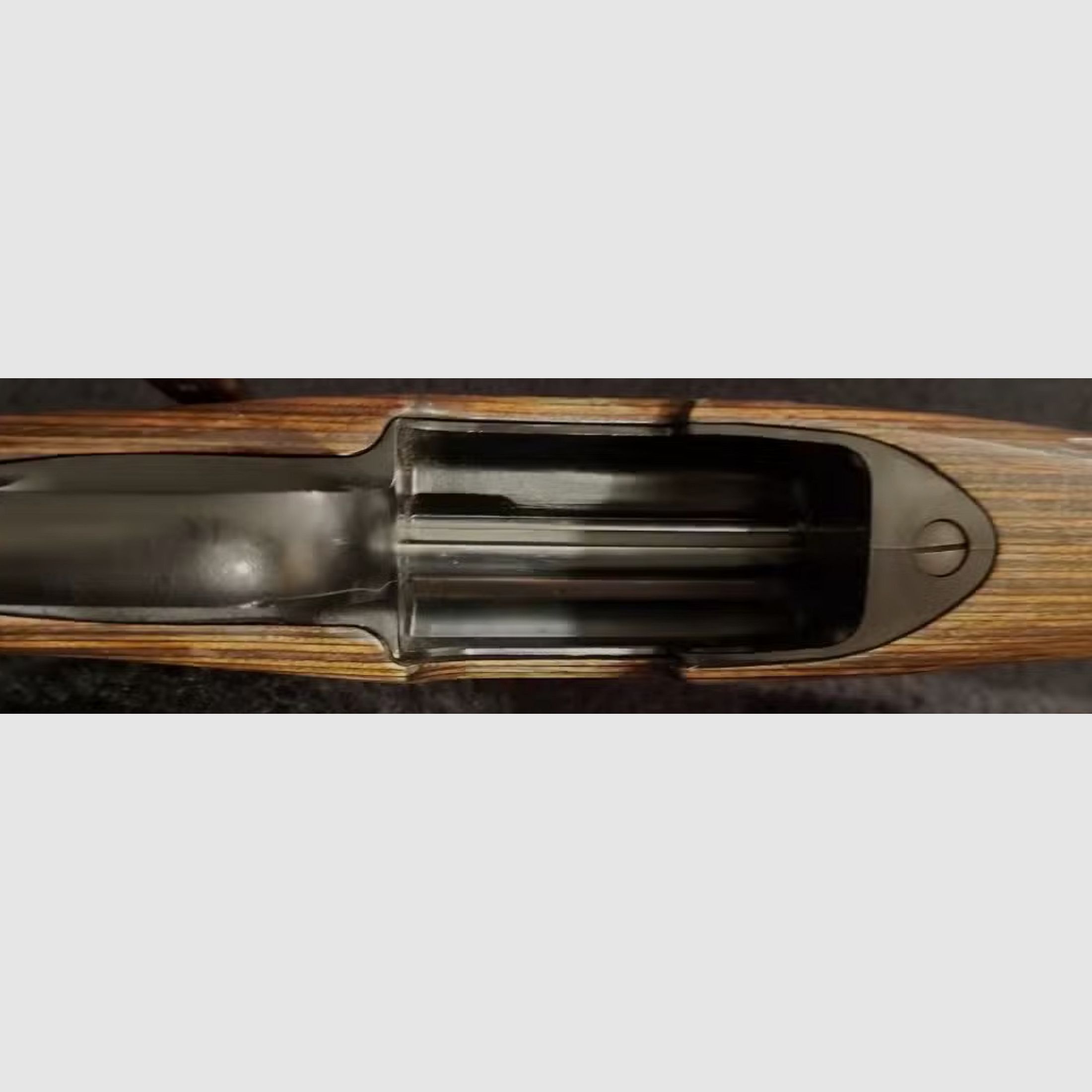 Steyr Mannlicher L .308Win Jagd