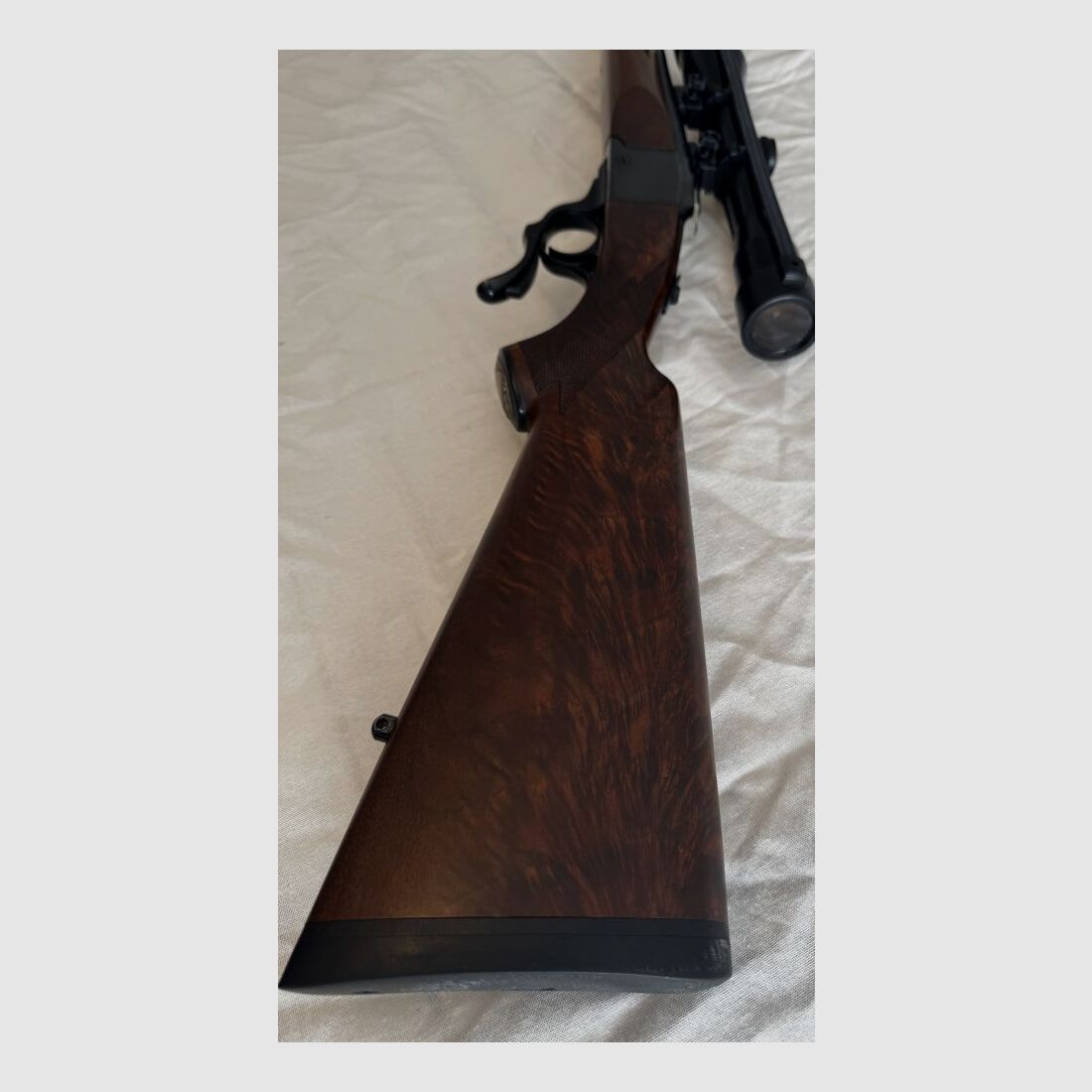 Ruger No1 .22-250Rem