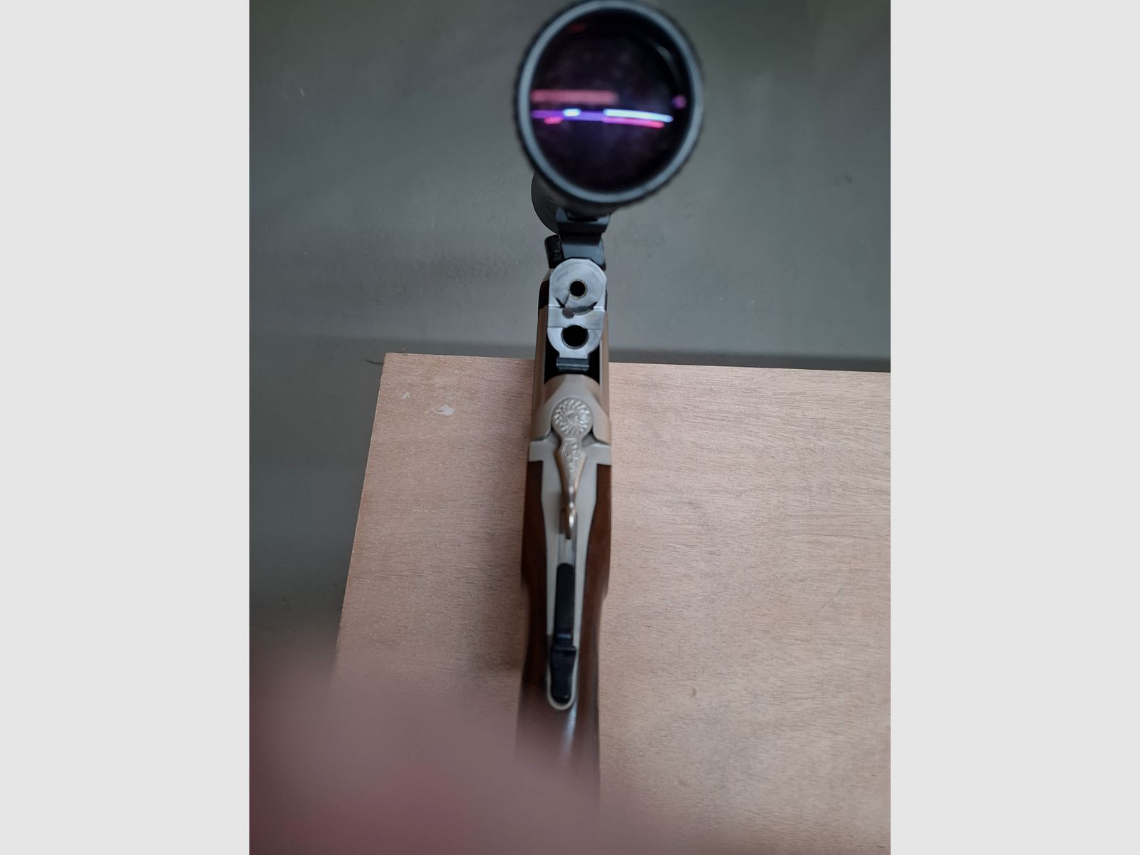 Blaser Bockbüchsflinte BBF 95 avec lunette de qualité Zeiss Diavari-ZM 3-12x56 T*
