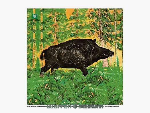 German Hunting Association DJV Air Rifle Hunting Target Overrun Standing Right