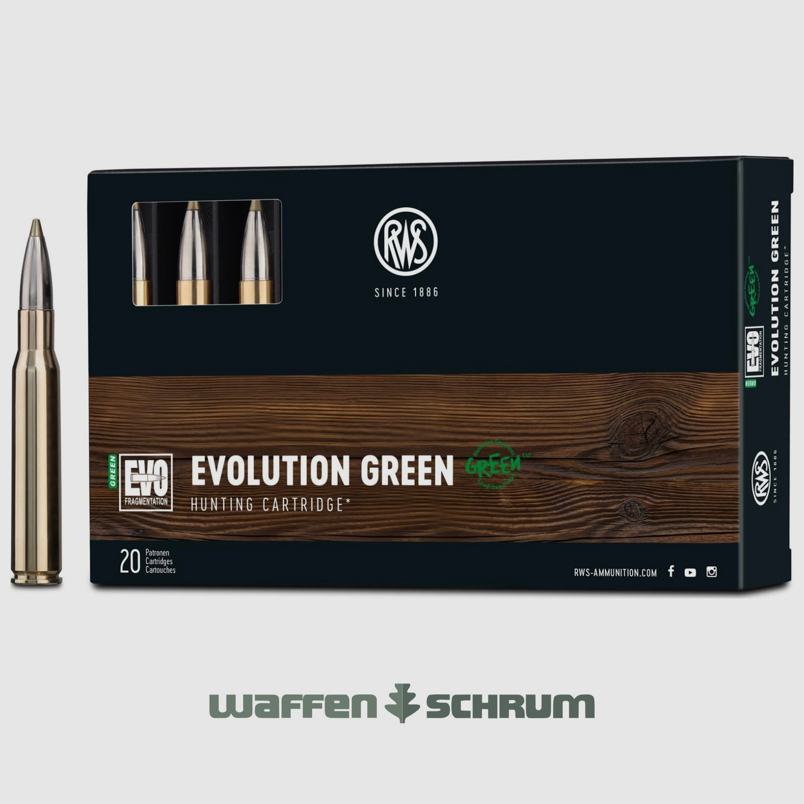 RWS Evo Green 9,0g - 139gr .30-06Spring