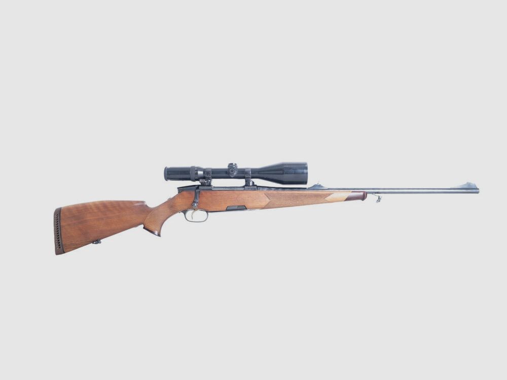 Steyr Luxus
