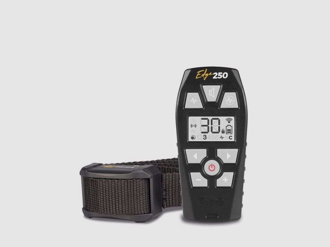 Dogtrace EDGE 250, image 2 sur 3