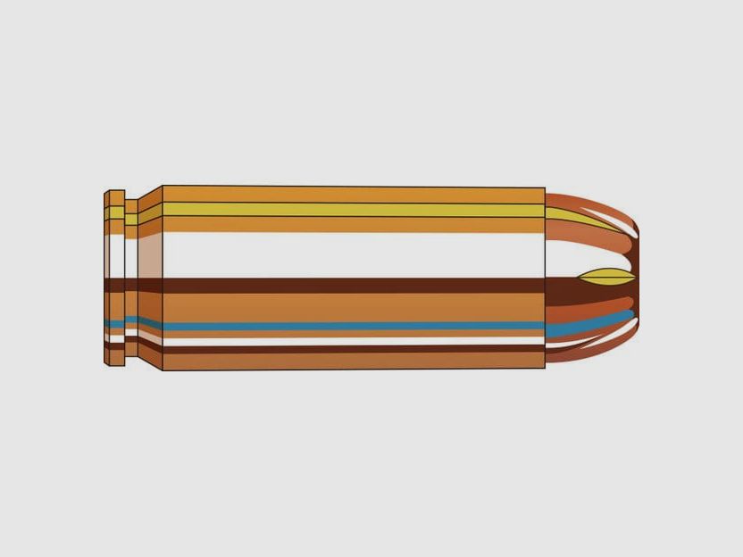 Hornady 50 AE 300 grs. XTP 20 stuks