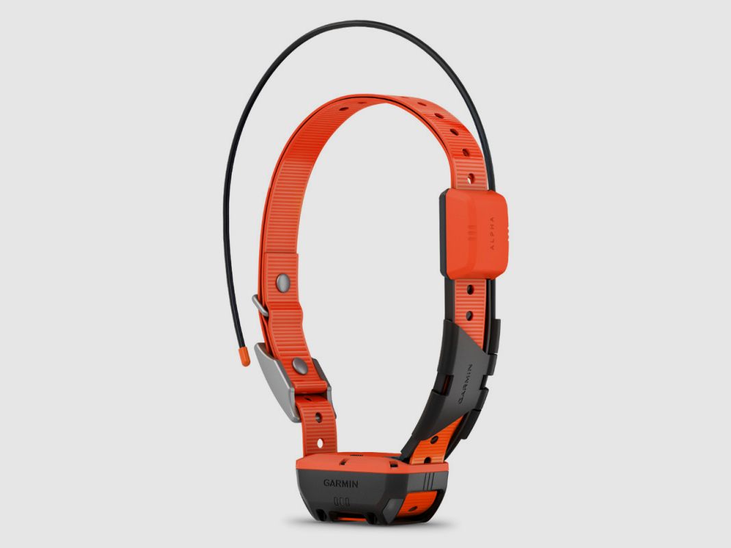 Garmin Alpha T20F GPS-Halsband, Bild 1 von 3