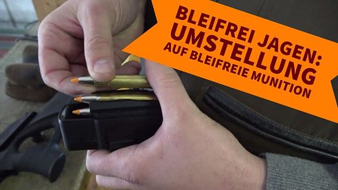 Bleifreie Jagdmunition: Was bedeutet die Umstellung auf bleifreie Geschosse für den Jäger?