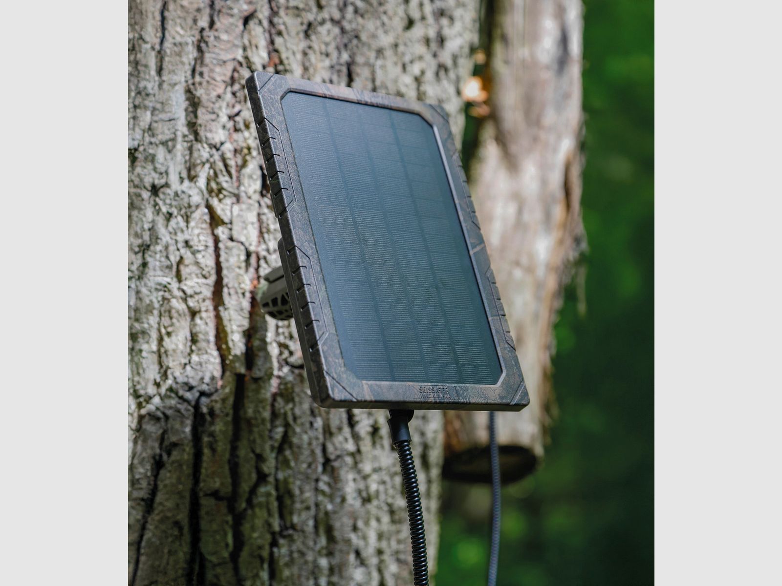 Seissiger Solarpanel