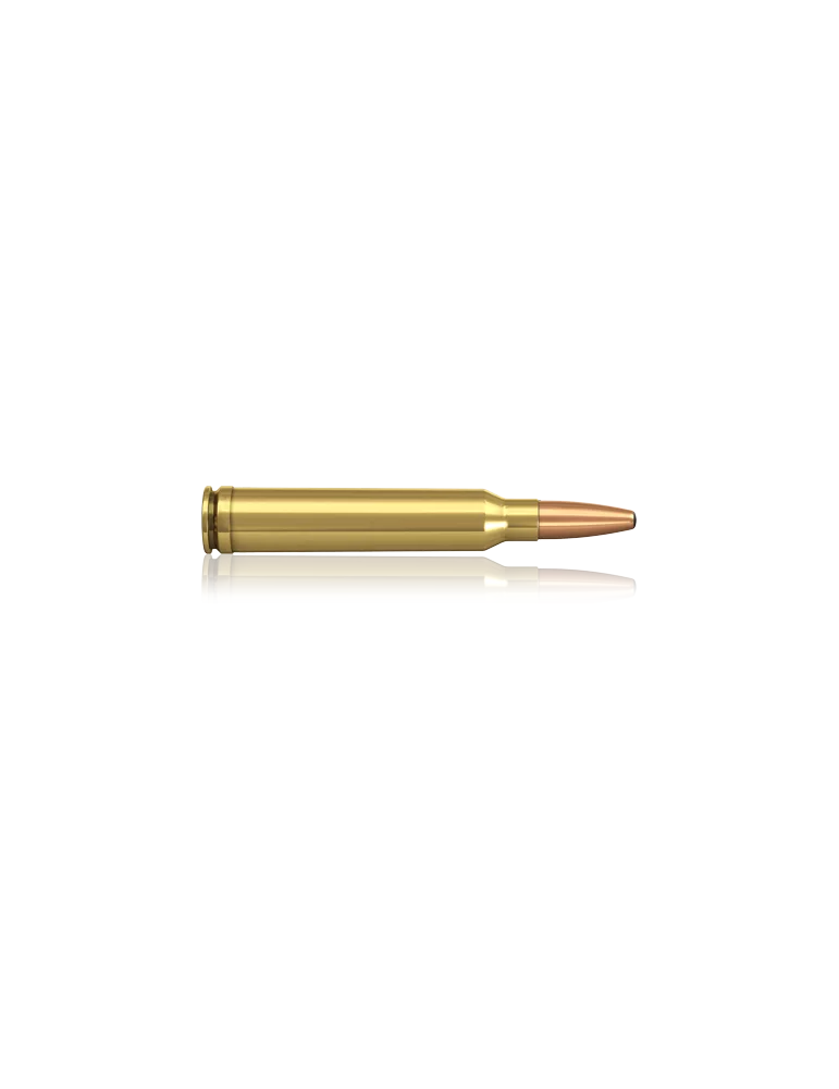 Norma .300 Win. Mag. Oryx 165 gr, immagine 2 di 5
