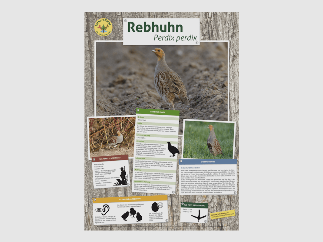 Luogo di apprendimento natura - Poster per la pernice