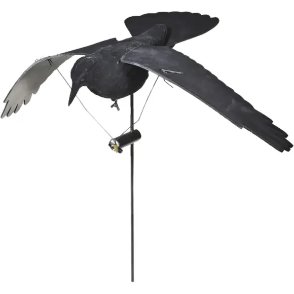 Electric Crow Stepland Flapping Wings Step-Flap, image 1 of 2