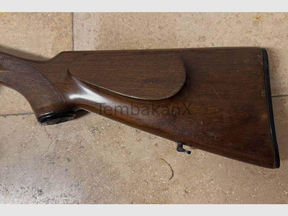 Sauer Beretta ohne 12/70