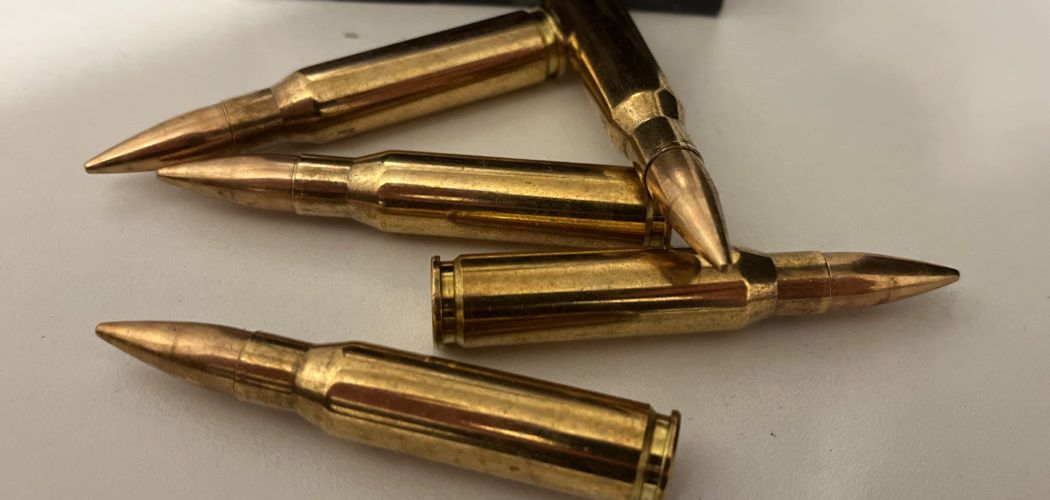 Das Universalkaliber schlechthin - .308 Winchester
