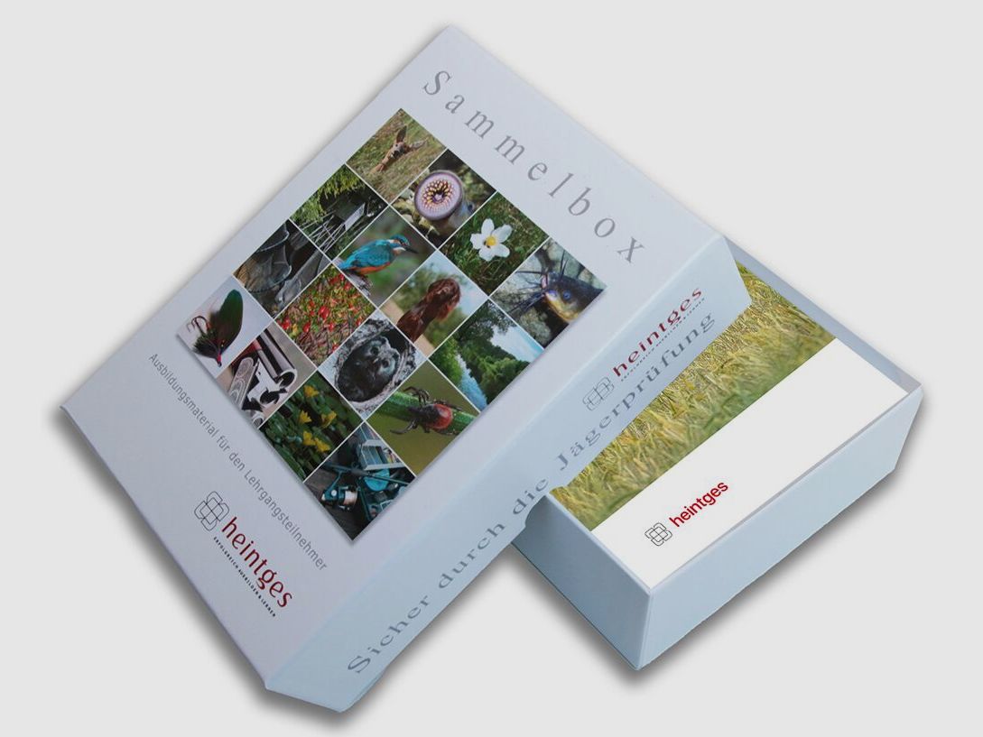 heintges Sicher durch die Jägerprüfung