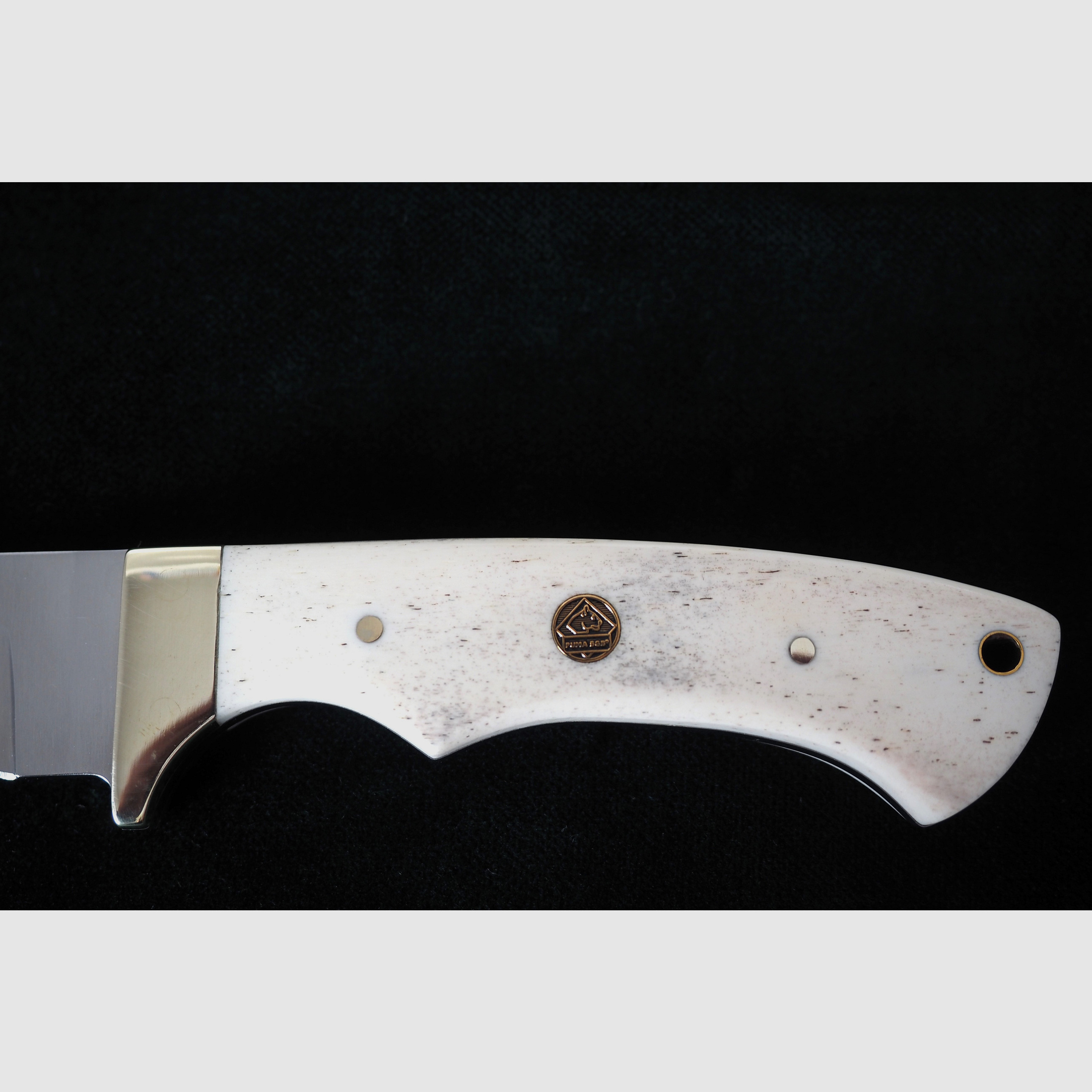 Puma SGB Coyote Glattes Weißes Knochen-Jagdmesser mit Lederscheide, Vitrinen Stück aus Sammlung, Neu und unbenutzt