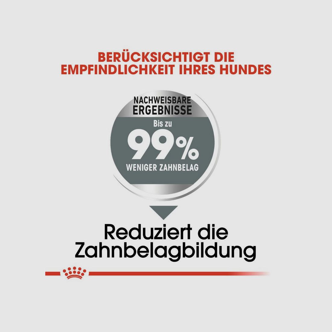 ROYAL CANIN Mittelgroße Hunde Trockenfutter Dental Care Medium für empfindliche Zähne 10 Kg