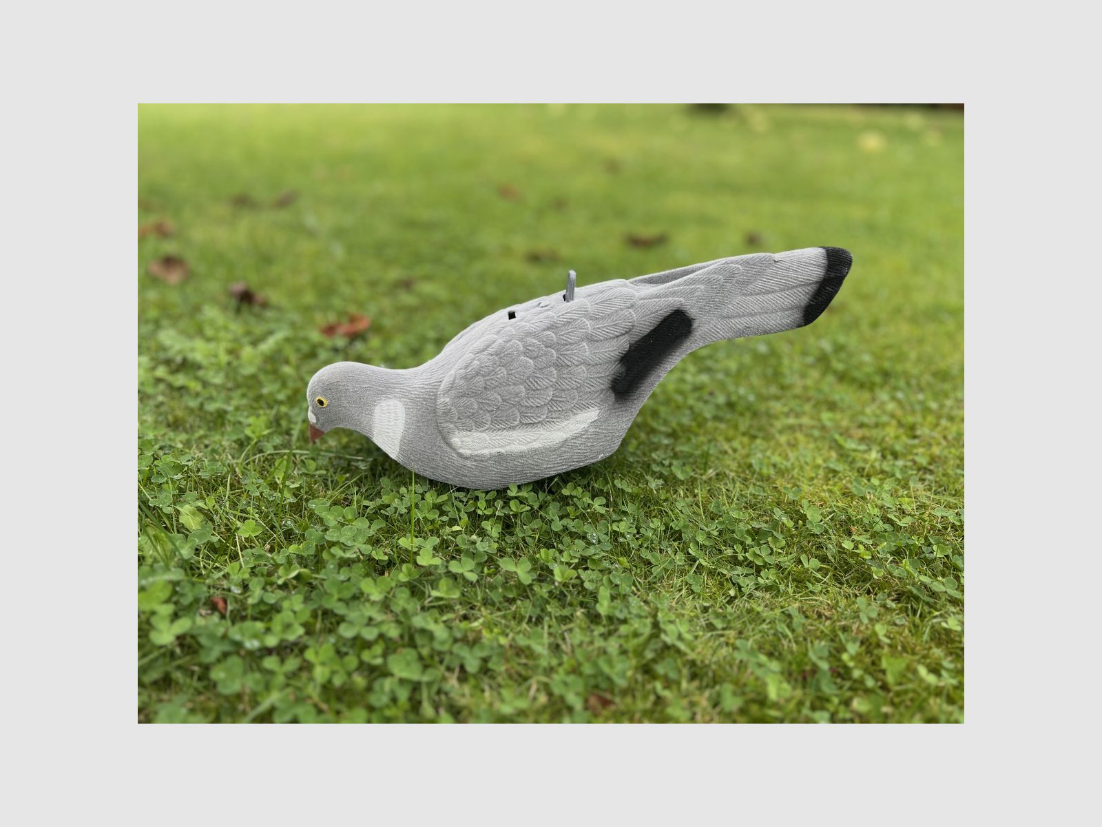 LOCKTAUBE demi-coquille recouvert de feutre avec piquet de terre