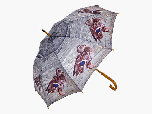 Regenschirm Enten