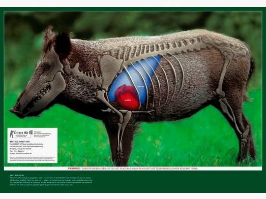 5etta Direkttreffer Wildschwein 4er Pack inkl. Abdeckungen.