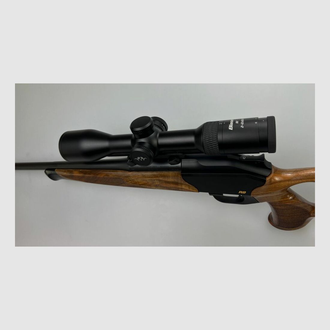 Blaser R8 Success