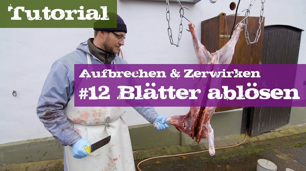 #12 Blätter ablösen - Schwarzwild - Lehrgang Aufbrechen & Zerwirken