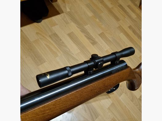 Incense HW 80 with ZF Gamo 4x20