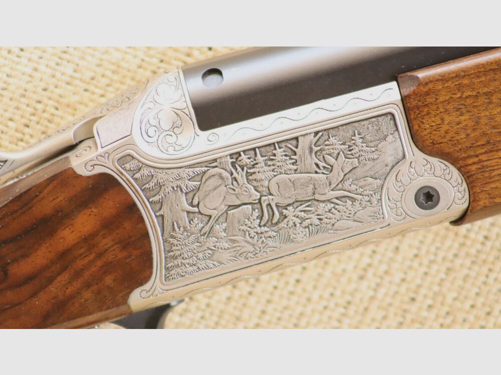 Blaser B95 Luxus 16/70;.30RBlaser