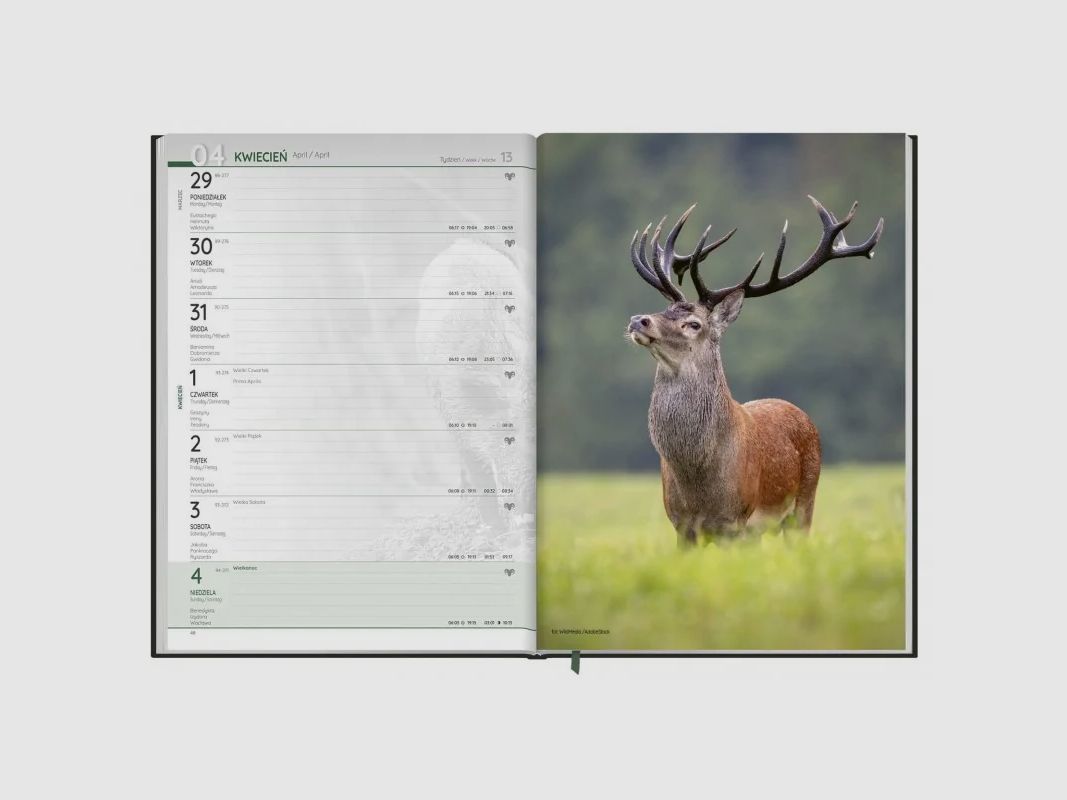 Hunting planner 2022, image 5 of 6