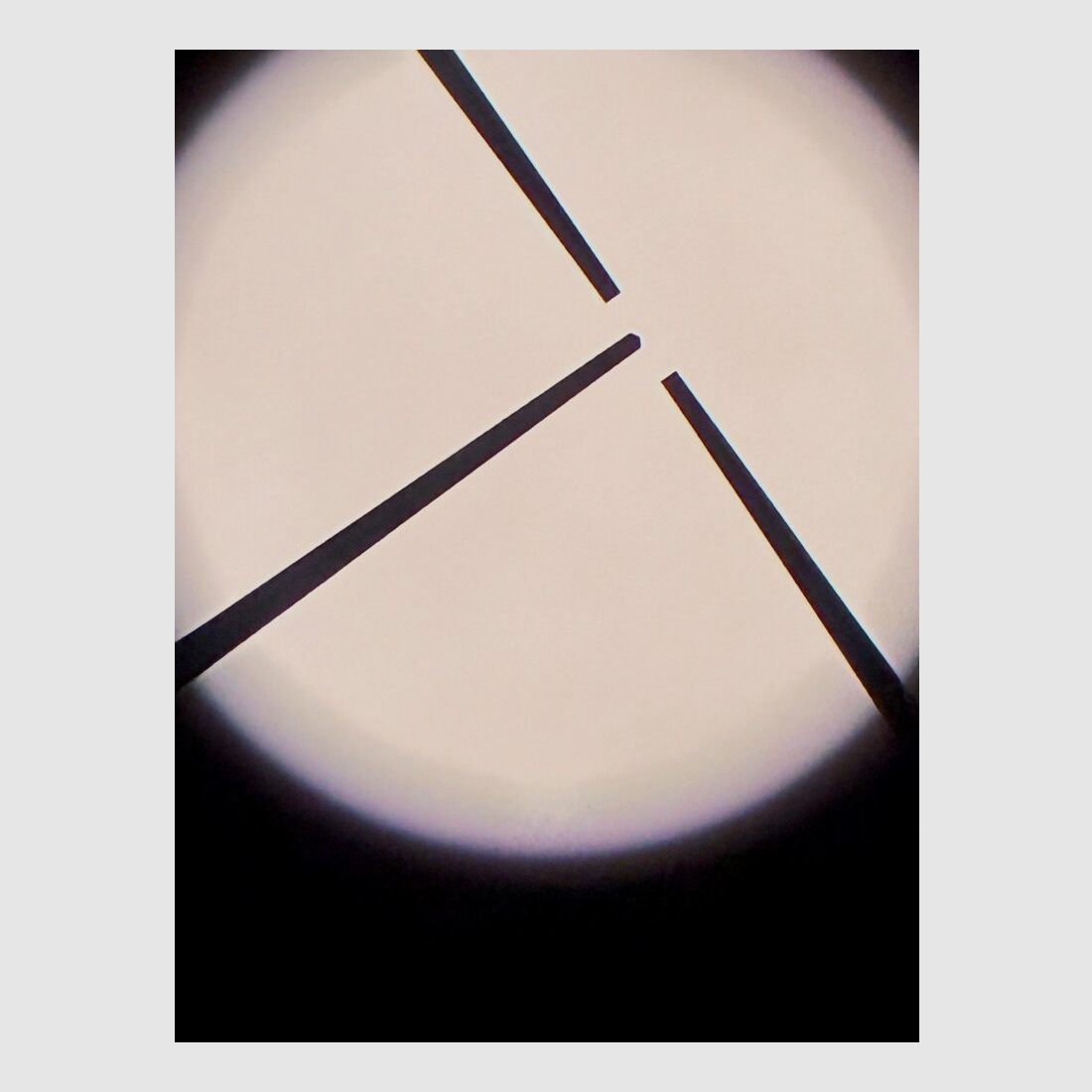 Merkel ohne 12/70;7x57R