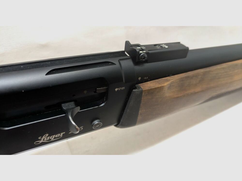 Luger 2005