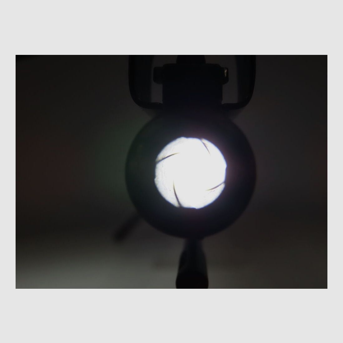 " ce 43 " Sauer & Sohn K98